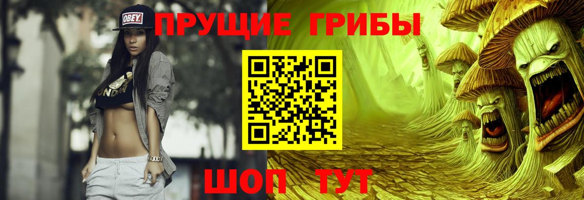 Псилоцибиновые грибы MAGIC MUSHROOMS  Вход с VPN  Кушва 